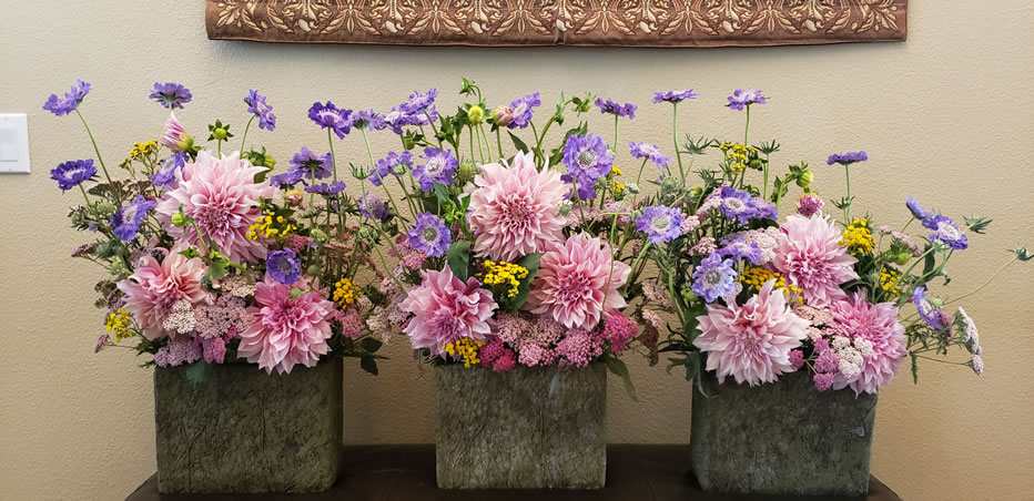 Pink Dahlia Yarrow Lavender Scabiosa Tansy Yarrow